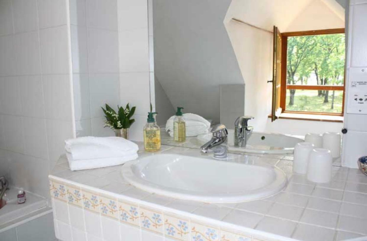 Bed and Breakfast La Rabouillere Le Controis-en-Sologne Zewnętrze zdjęcie